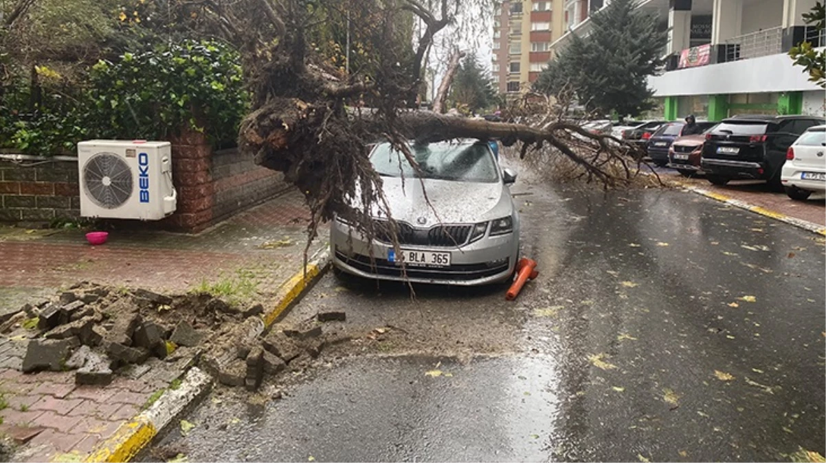 İstanbul'da yağış ve fırtına! Ağaç otomobilin üzerine devrildi, İETT otobüsünü su bastı