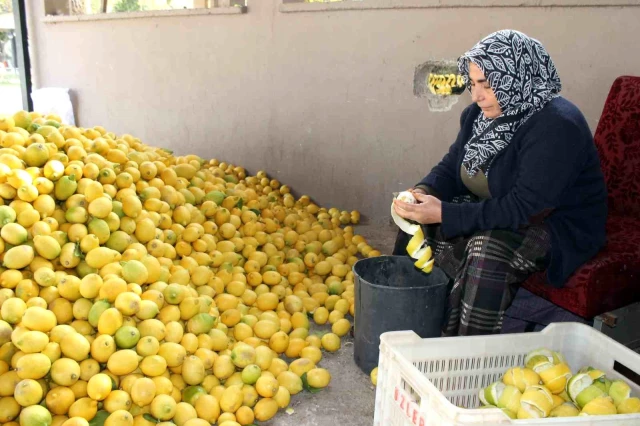 Limonun kendisi para etmeyince kabuğunu satmaya başladılar