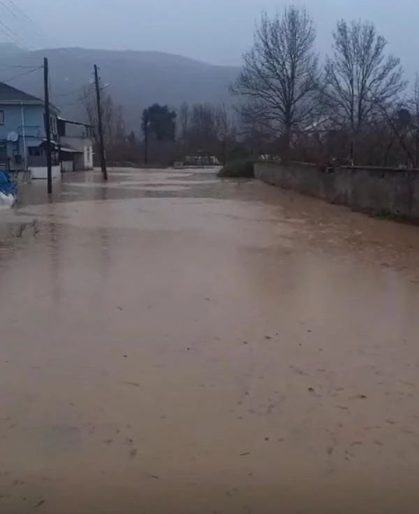 Düzce'de sağanak yağış sonucu dereler taştı, bazı evleri su bastı