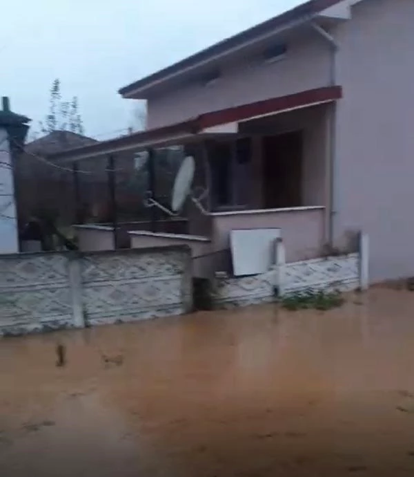 Düzce'de sağanak yağış sonucu dereler taştı, bazı evleri su bastı