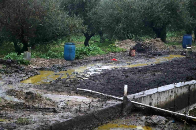 Hatay'daki fabrikada depolar patladı, 50 ton zeytinyağı araziye aktı