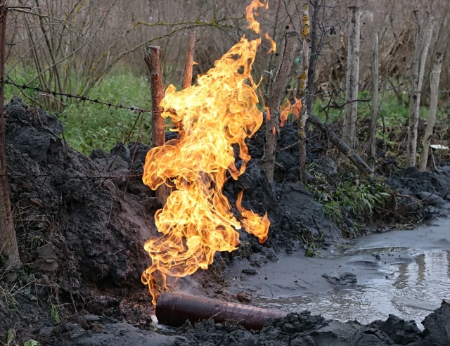 Samsun'da fındık ve çeltik tarlalarında yapılan sondajda yanıcı gaz çıktı