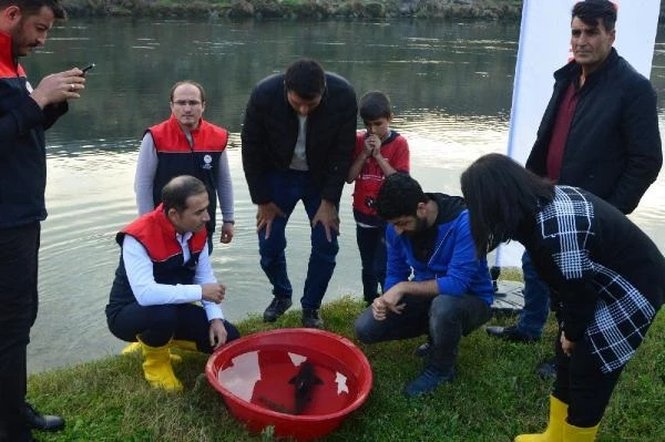 Dünyada en çok aranan leopar sazanı Dicle Nehri'nde bulundu