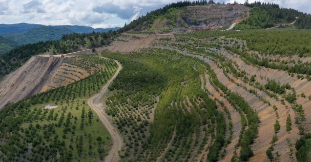 İTÜ Rektör Yardımcısı Kumral, Erzincan'daki maden kazasıyla ilgili değerlendirmelerde bulundu