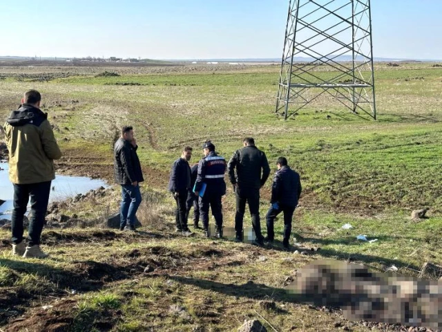 Yol tarifi için durdu, dehşete tanık oldu! Önce kız arkadaşının sonra kendi kafasına sıktı