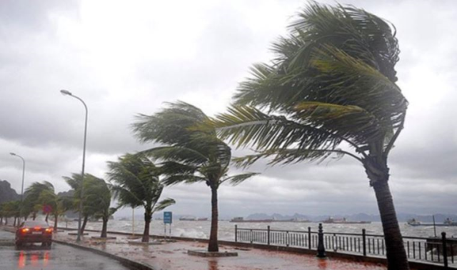 Meteoroloji, 22 il için sarı kodlu uyarı verdi