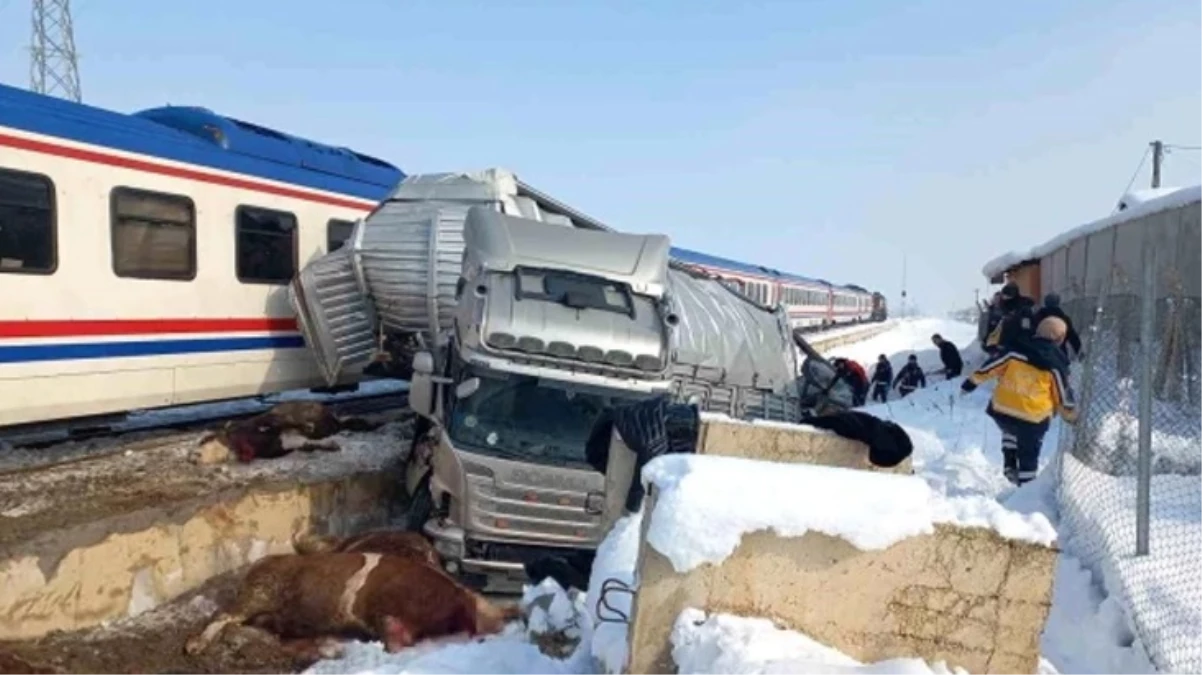 Hayvan yüklü TIR'a tren çarptı: Ölü ve yaralılar var