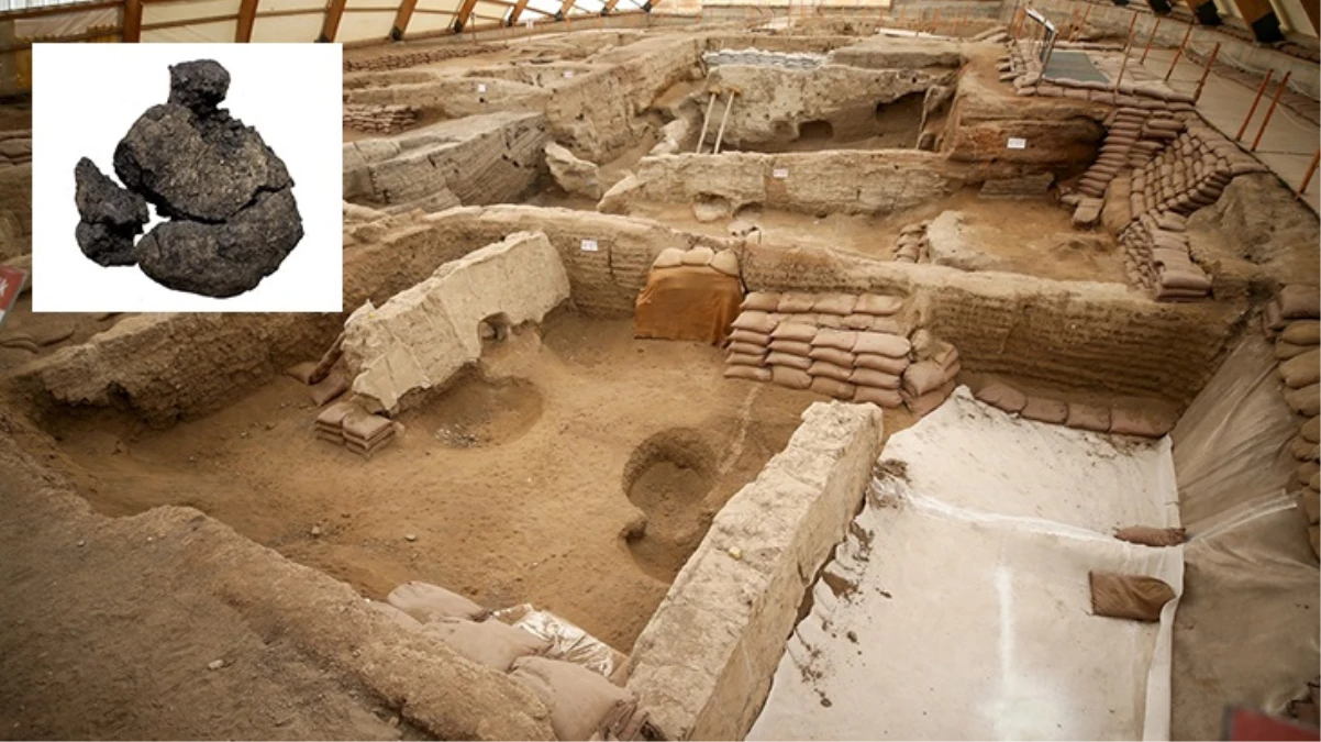 Çatalhöyük'teki kazıda 8 bin 600 yıllık ekmek bulundu