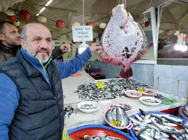 Karadeniz'de nadir görülen Kalkan balığı 7 bin TL'ye satıldı