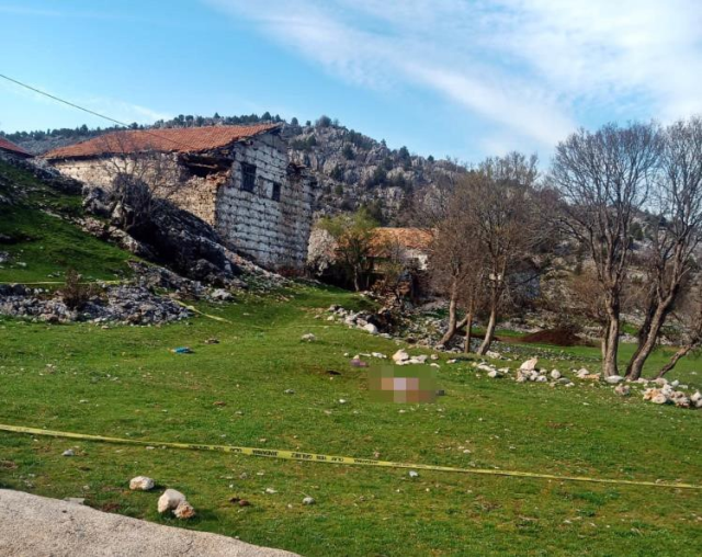 Kabir ziyaretinde çoban köpeklerinin saldırısına uğrayan 82 yaşındaki kadın hayatını kaybetti