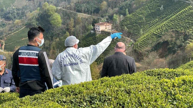 Rize'deki bir çay bahçesinde vücut bütünlüğü bozulmuş erkek cesedi bulundu