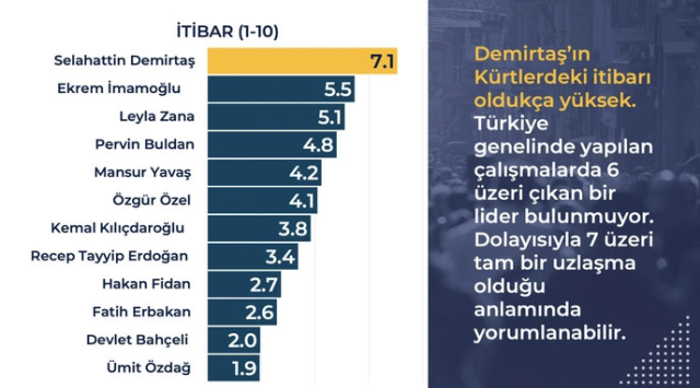 Kürt kökenli vatandaşlarla yapılan anketten çarpıcı sonuçlar çıktı