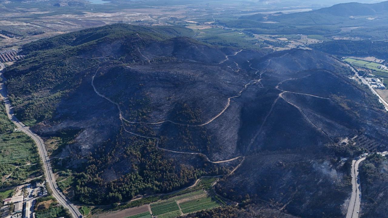 Son Dakika: İzmir'deki Yangın Felaketinde Yanan Orman Havadan Görüntülendi