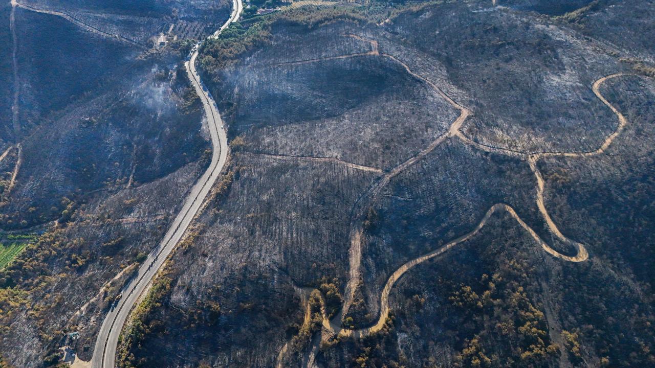 Son Dakika: İzmir'deki Yangın Felaketinde Yanan Orman Havadan Görüntülendi